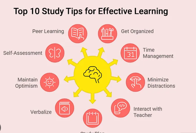 study tips4